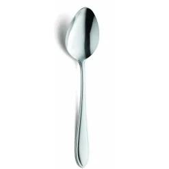 Amefa Filet 0900 Tafellepel 105765