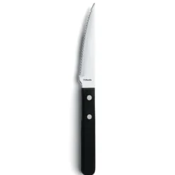 Amefa Steakmes 7000 Steak 21 cm Kunststof-rvs 105905