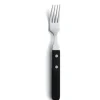 Amefa Steakvork 7000 Steak 20.1 cm Kunststof-rvs 105903