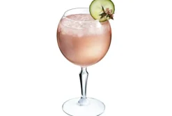 Arcoroc Monti Gin/Cocktail glas 58CL Set 6 Q1257