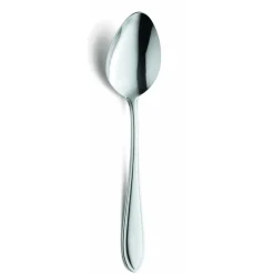 Bestekset Amefa 0900 Filet 24 delig (6 personen)