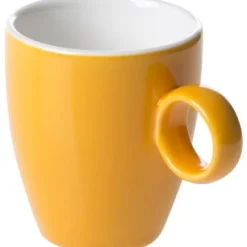 Espressokop 6,5cl Oranje Maastricht Porselein Bart Colour 531375