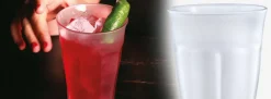 Glas 25cl Duralex Picardie Givre set van 6 529157