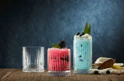 Pasabahce Elysia Longdrinkglas 44,5cl 12 stuks 530714