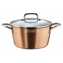 Pintinox Materic Copper look Kookpot m/glazen deksel D200mm 621941