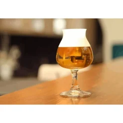 Royal Leerdam Bierglas Specials 25 cl Transparant 6 stuks 527650