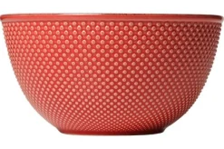 Schaal Cosy & Trendy Mistral red 16cm 2808731