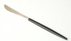 Tafellepel Pintinox Slide 18/10 7,5mm 620811